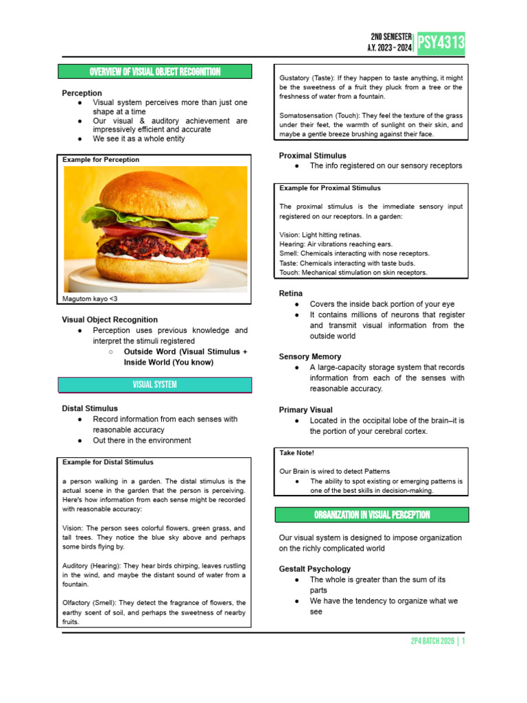 Chapt 2 - Visual and Auditory Recognition | PDF