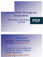 14812_energyflow