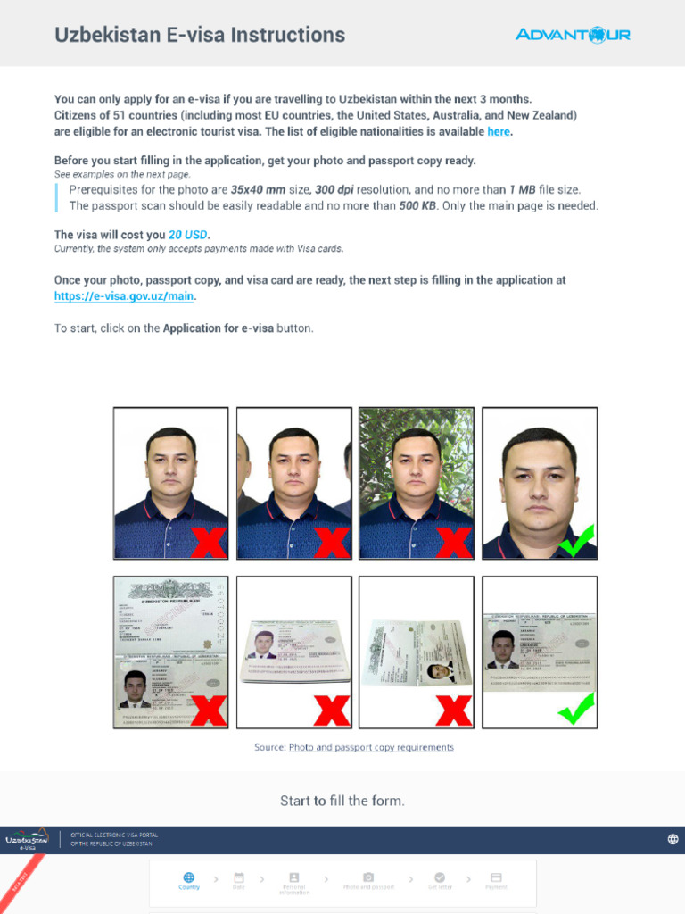 E Visa Guide | PDF