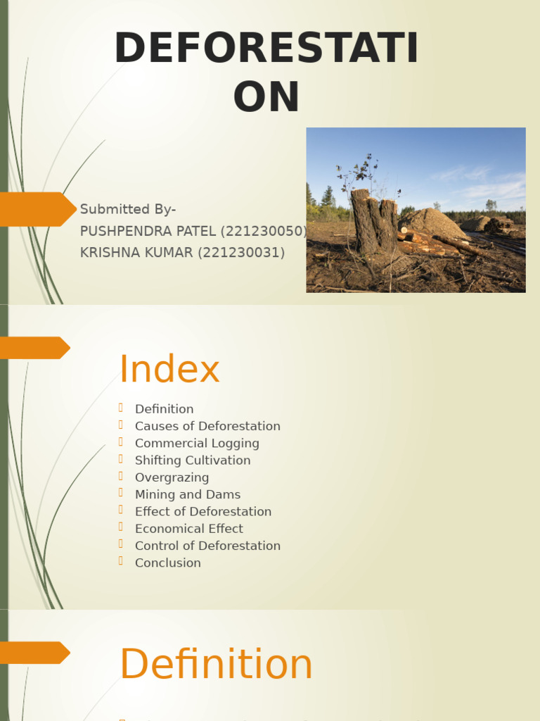 Deforestation | PDF