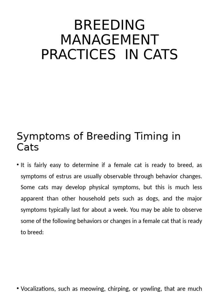 Cat Breeding Timing and Management | PDF | Medical Specialties | Sexual ...