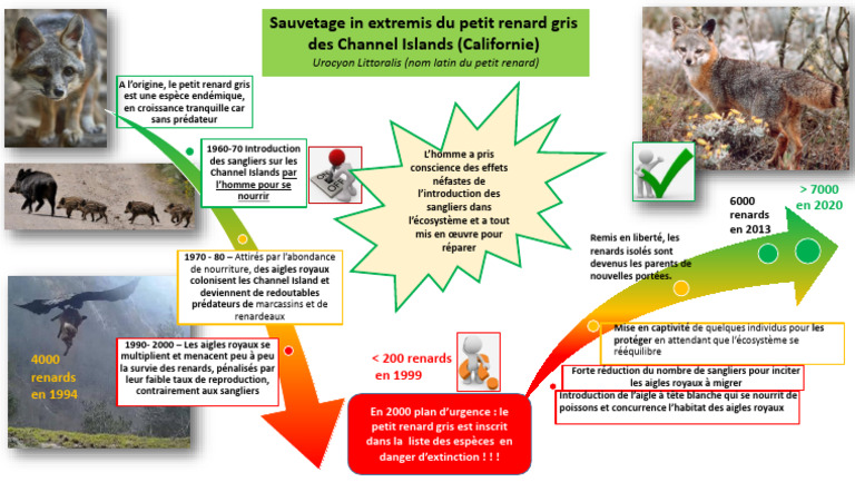 SVT Affiche Conséquence Des Activités Humaines Dans L'évolution de La ...