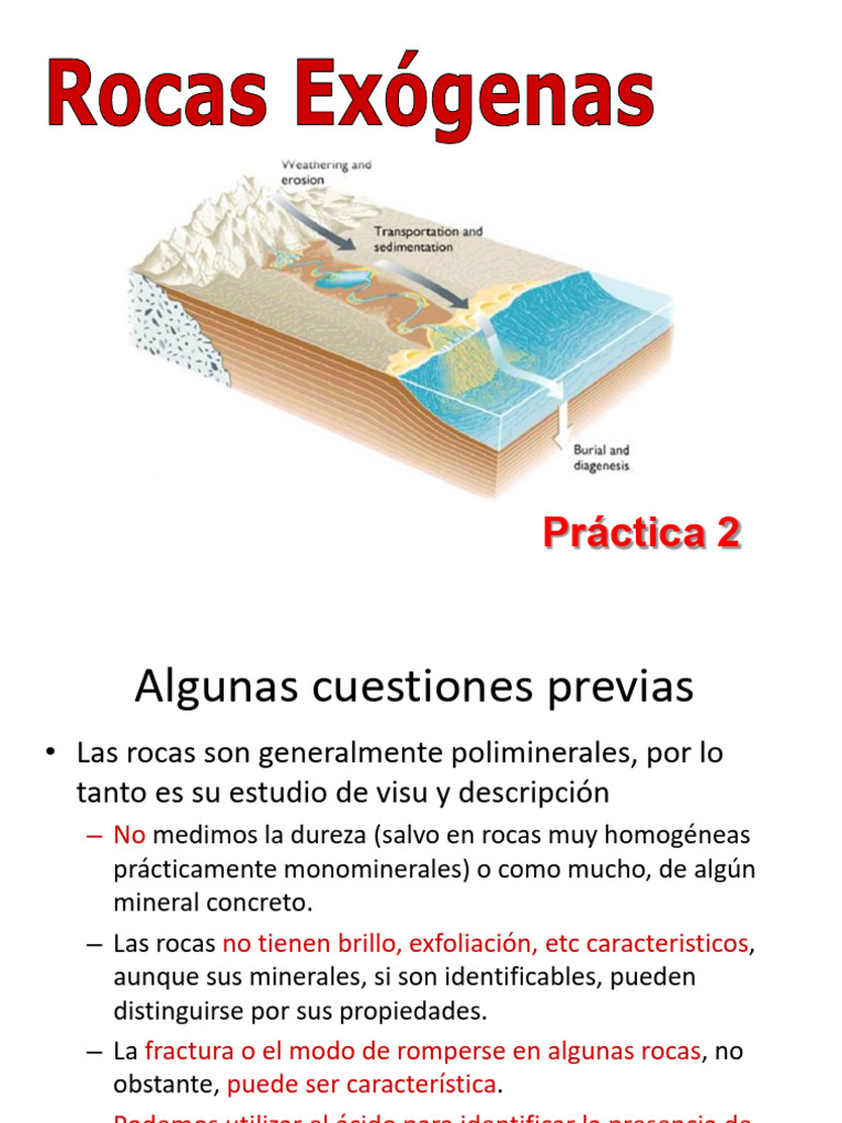 2 - Rocas Exogenas - Practica 2 - 2022 | PDF