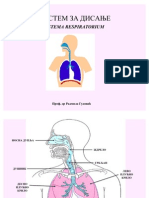 Sistem Za Disanje - 1