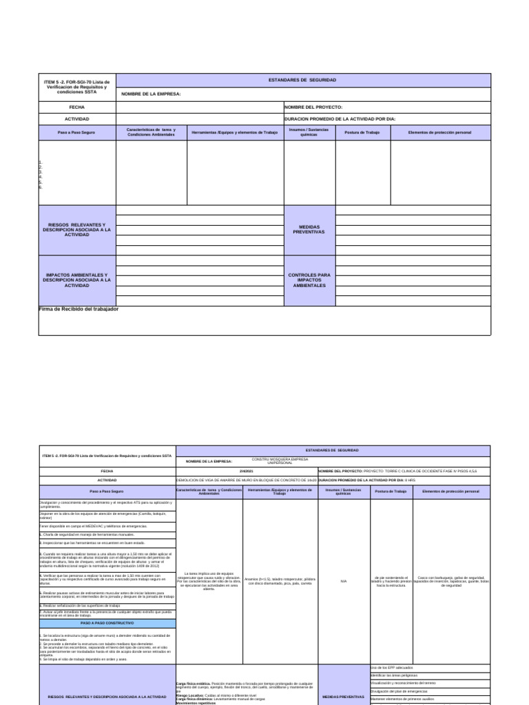 Formato Estandar de Trabajo Contratistas-Anexo 9 | PDF