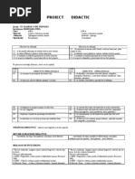 Proiect Didactic Simultan