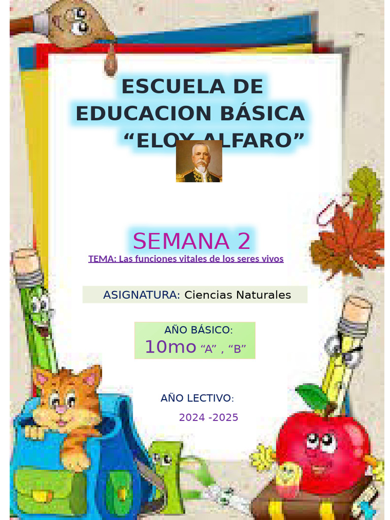 CCNN 10mo | PDF