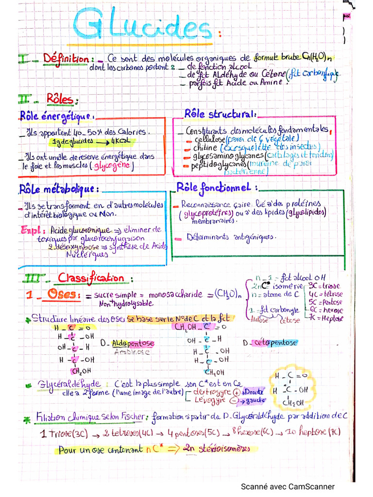 Glucides | PDF