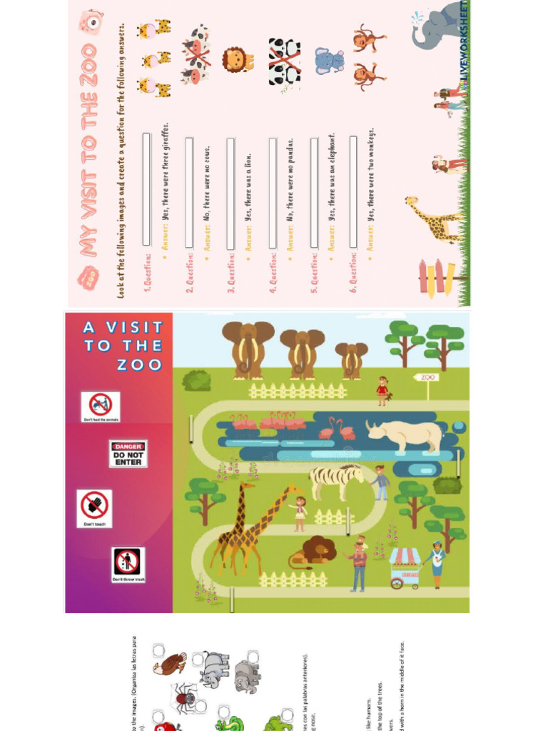 Rosa Basic | PDF
