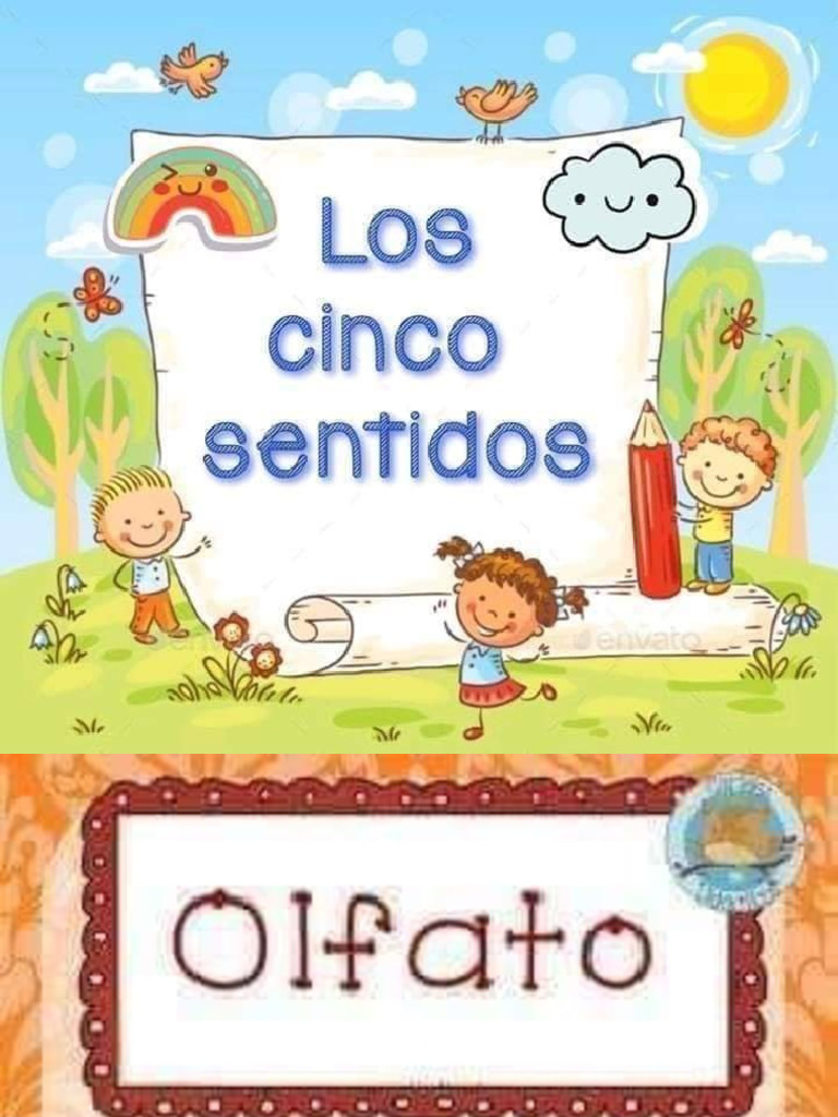 Los 5 Sentidos 1 Pdf
