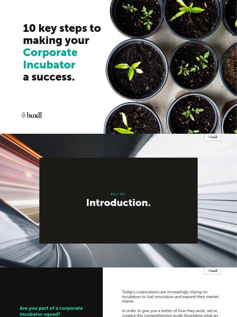 Downloadable_10 Key Steps Incubator | PDF