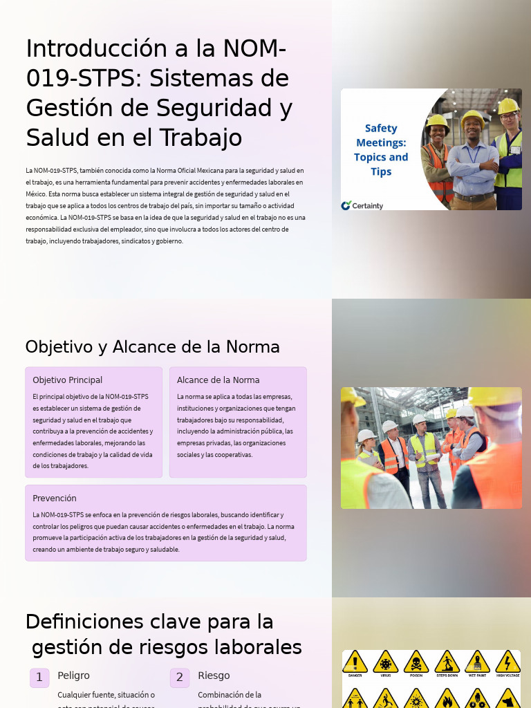 Nom 019 STPS | PDF