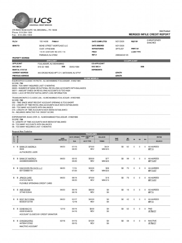 Credit Report | PDF