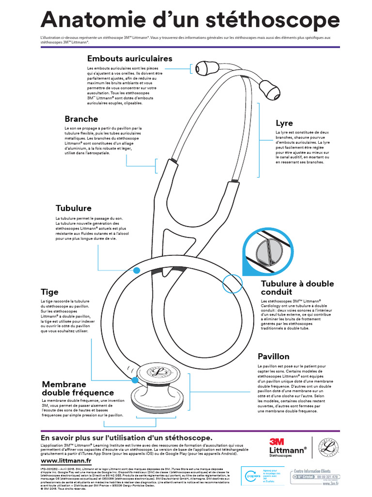 FR Littmann Anatomy of A Stethoscope Poster | PDF