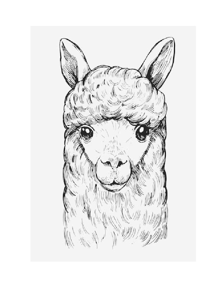 Llama | PDF