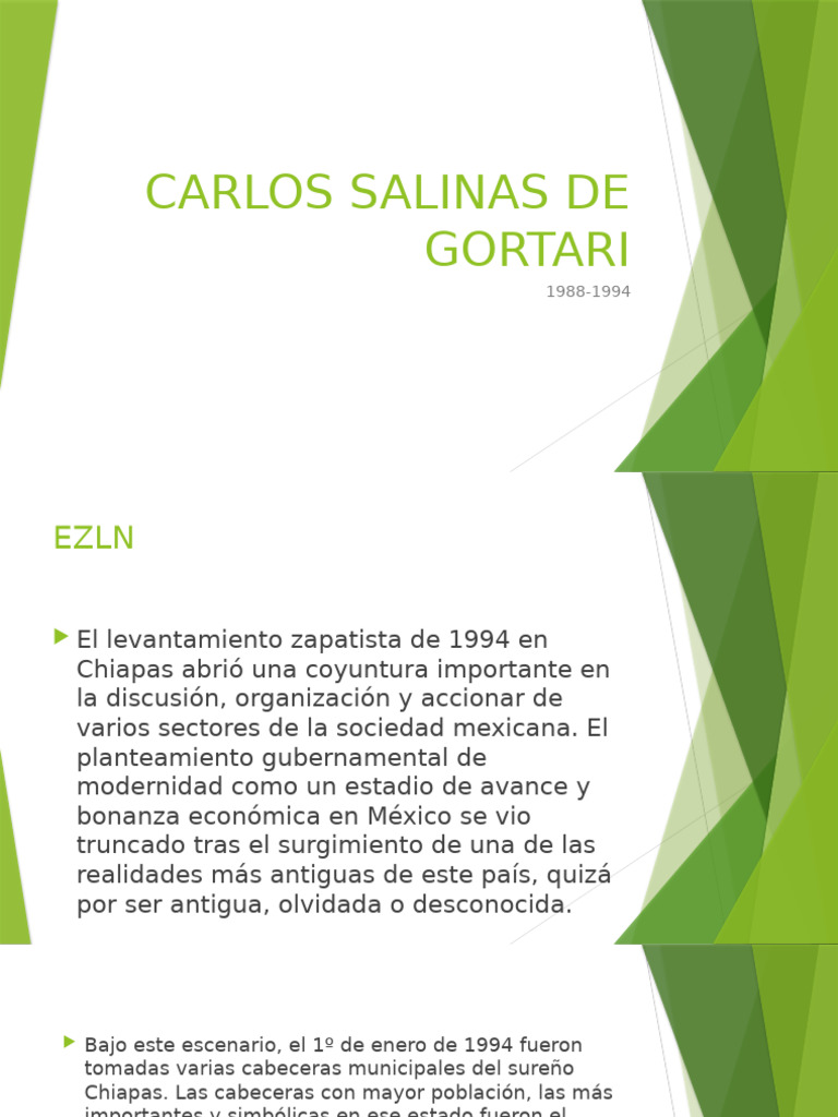 CARLOS SALINAS DE GORTARI PDF(02)