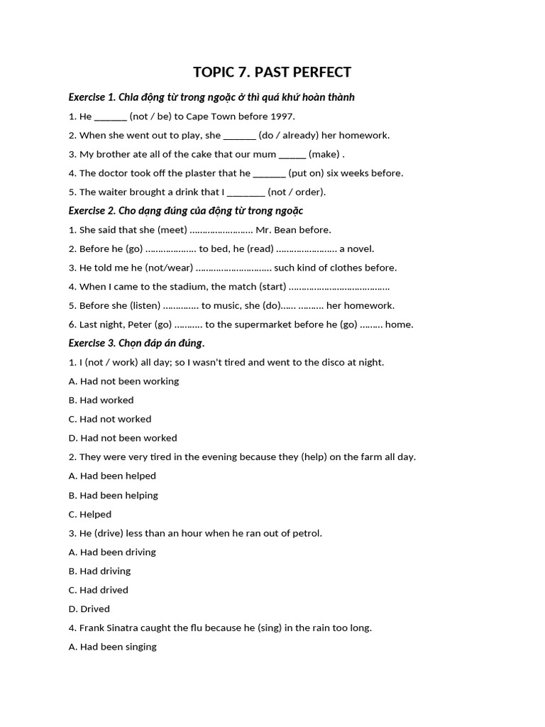 Topic 7. Past Perfect | PDF
