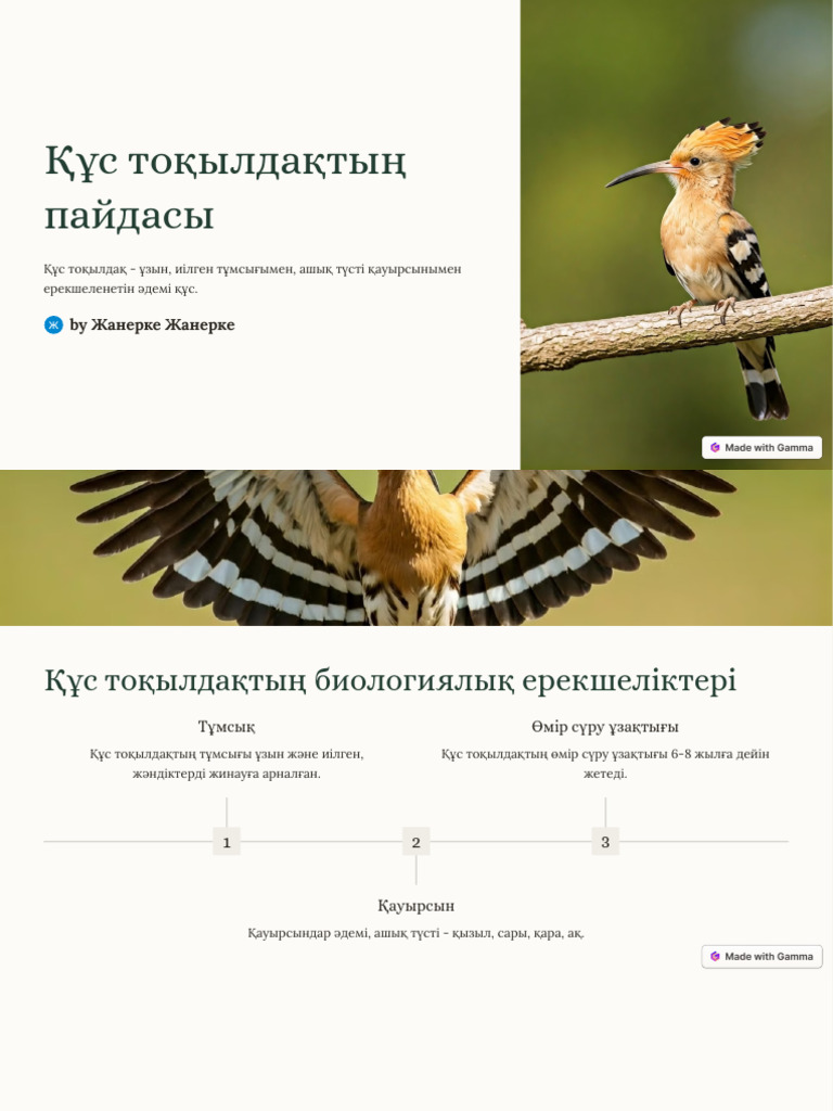 Үйдегі порно жүктеу