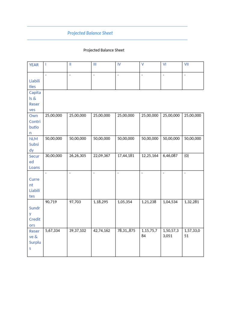 Projected Balance Sheet | PDF