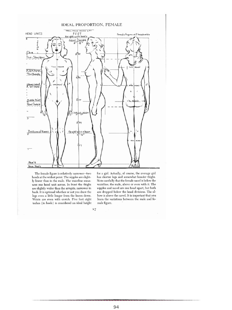 anatomy drawing Part ( 2 )