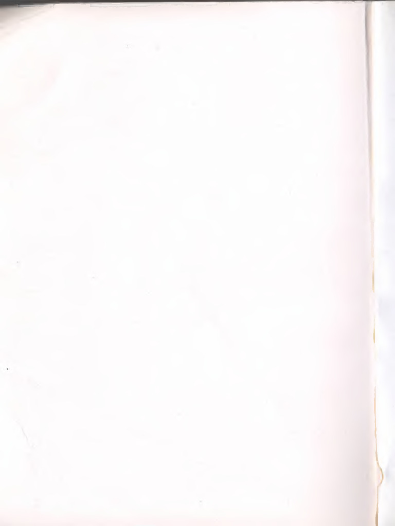 Dik, mushuk va prezervativning yaqindan surati