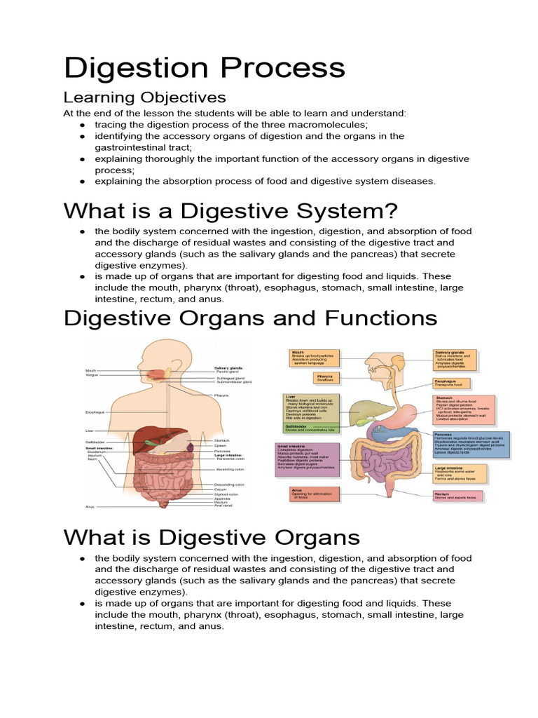 Digestion | PDF