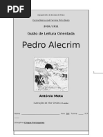 Joana- PEDRO ALECRIM GUIÃO DE LEITURA 2010