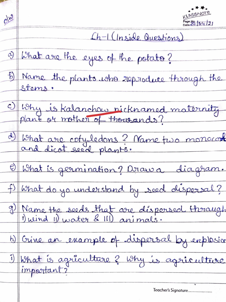 Science Chapter 1 Inside Question Answers | PDF