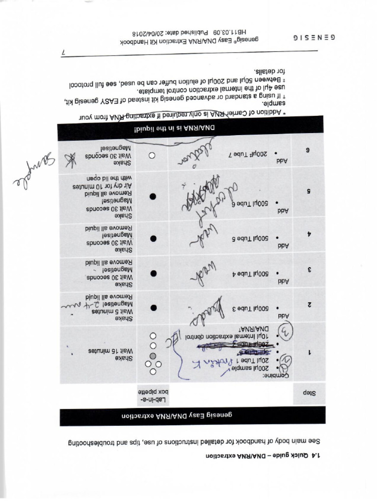 DNA Extraction Scribble | PDF