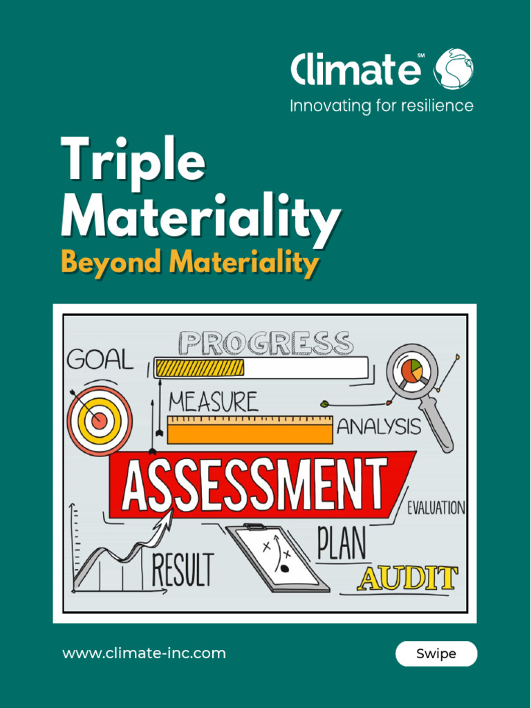 Triple Materiality | PDF