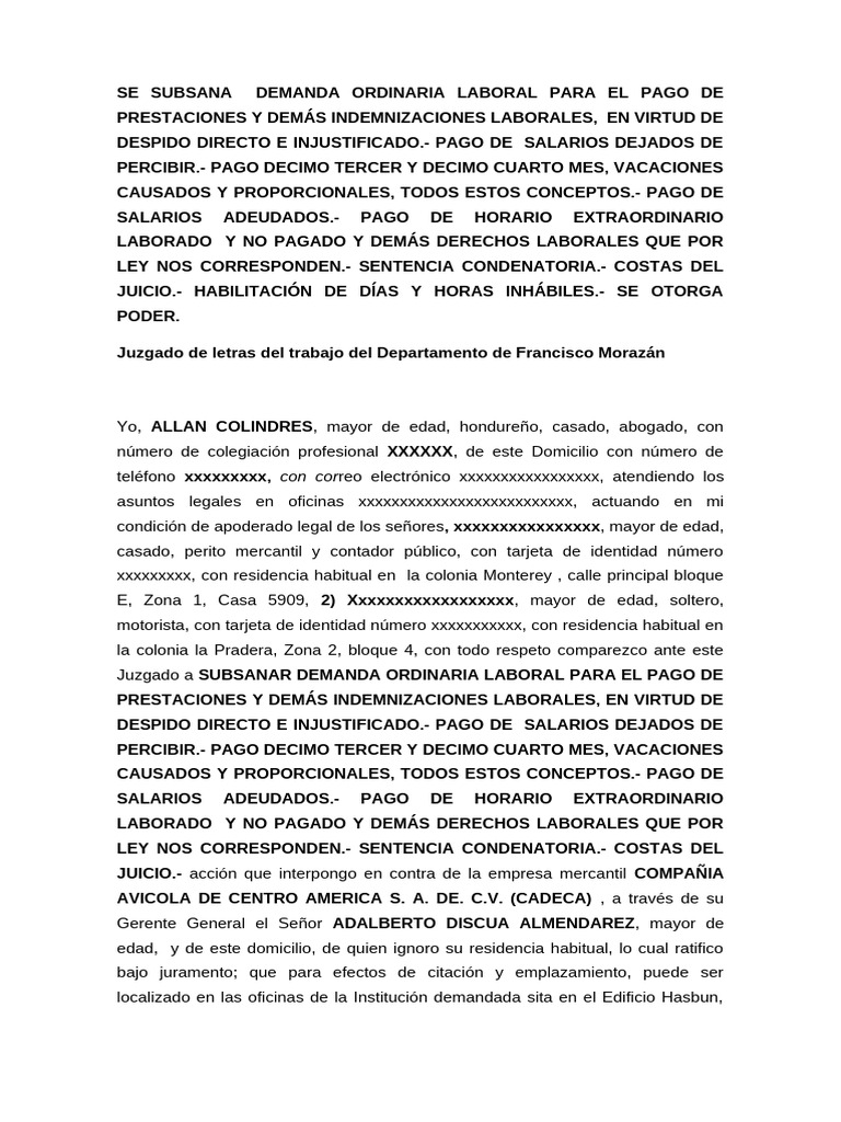 Subsanar Demanda Allan Colindres | PDF