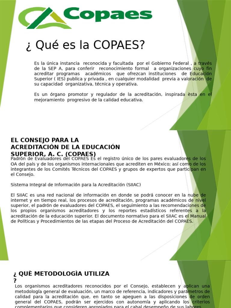 COPAES | PDF