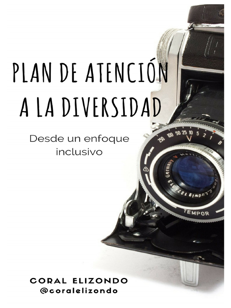 Plan de Atención A La Diversidad - Coral Elizondo | PDF