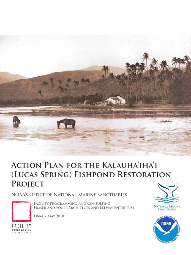 Fishpond | PDF