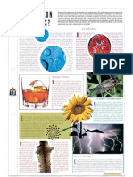 naturaleza y matematicas 1