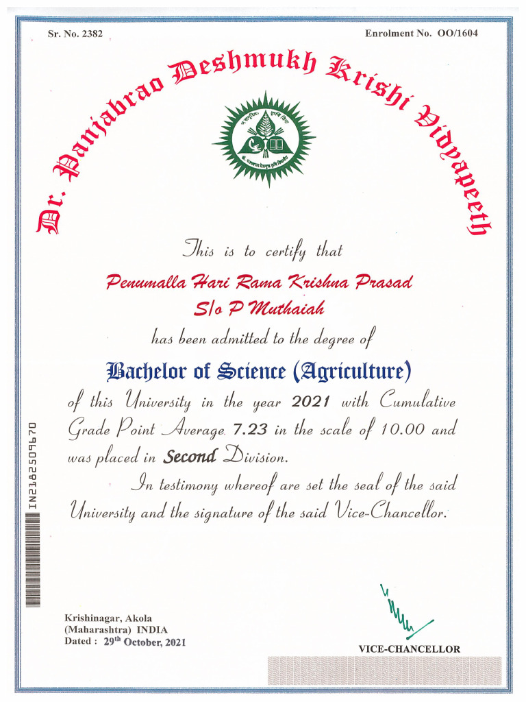 Bachelor Degree Certificate Pdf