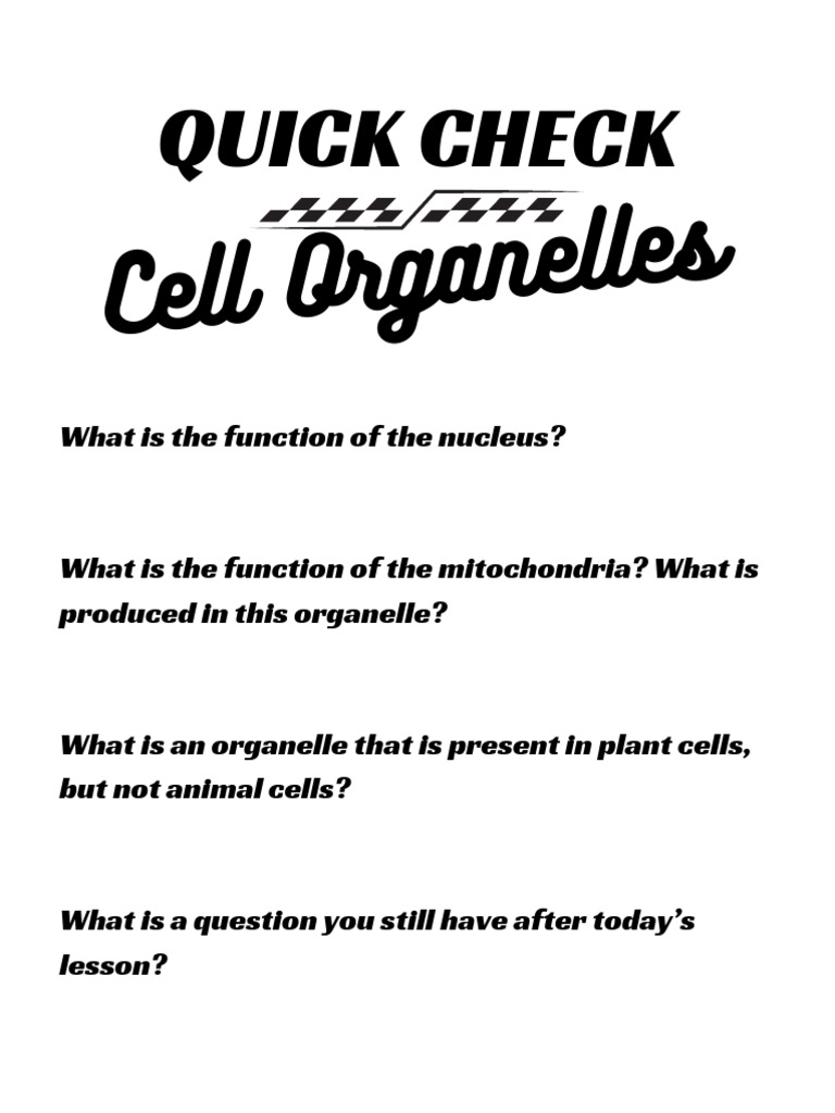 Quick Check: Cell Organelles | PDF