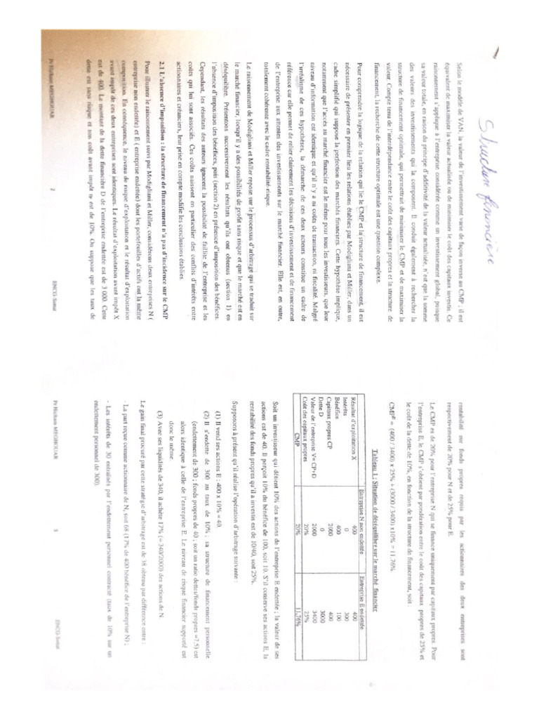 Stratégie Financière Cours Et Exercice | PDF