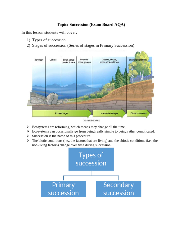 lesson plan of succession 2 | PDF