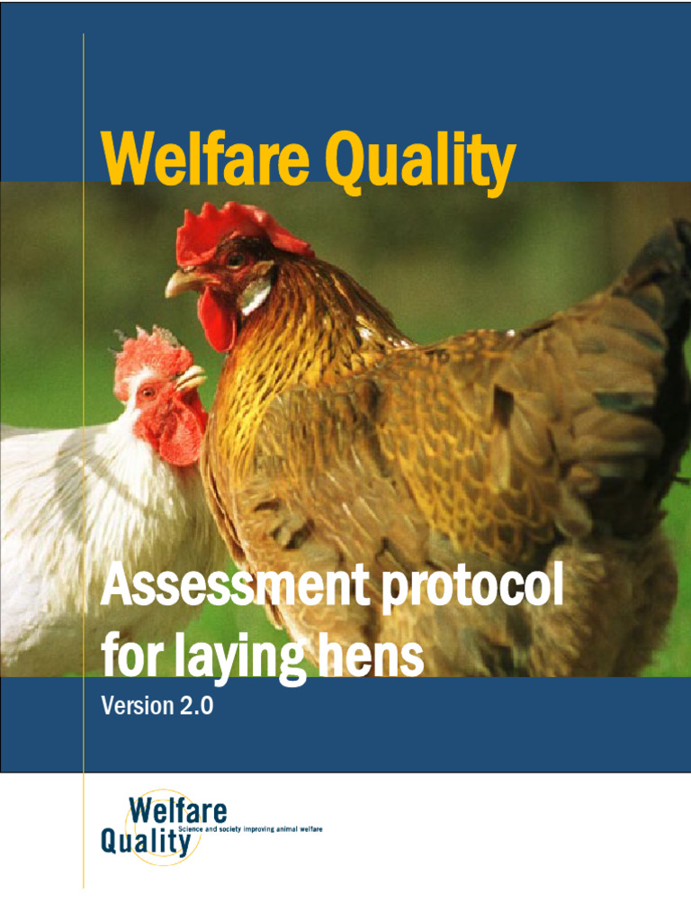 2019 WQ Laying Hen Protocol | PDF