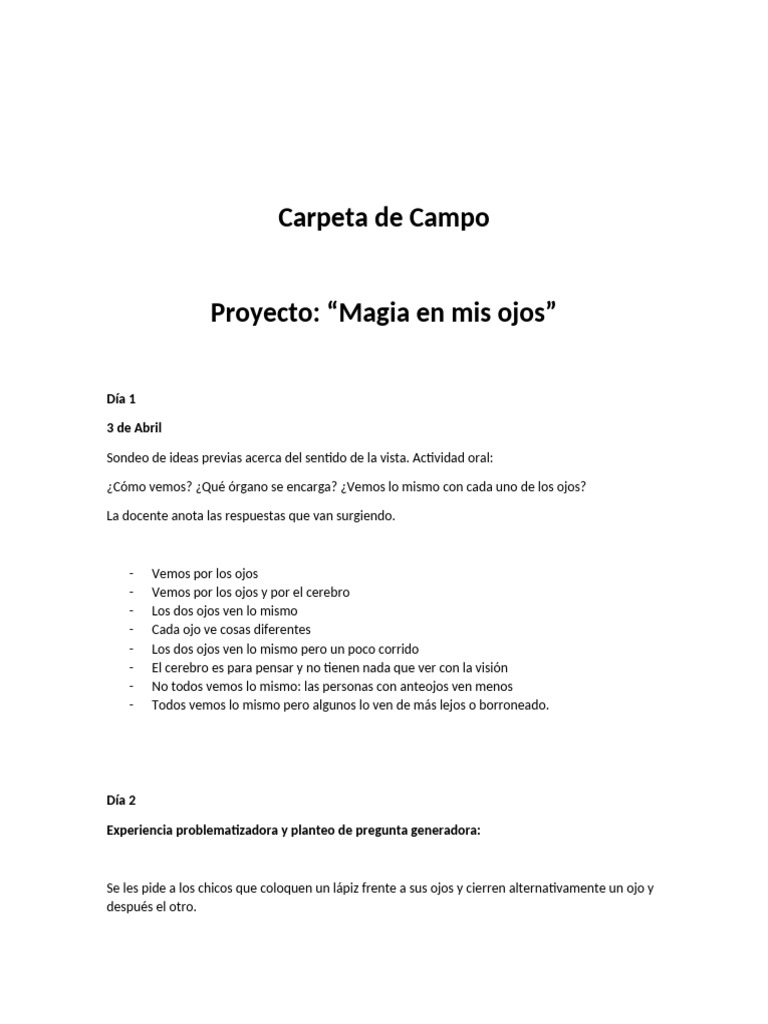 Resumen de Las Etapas Del Proyecto | PDF