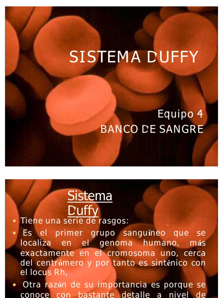 Sistema Duffy PDF