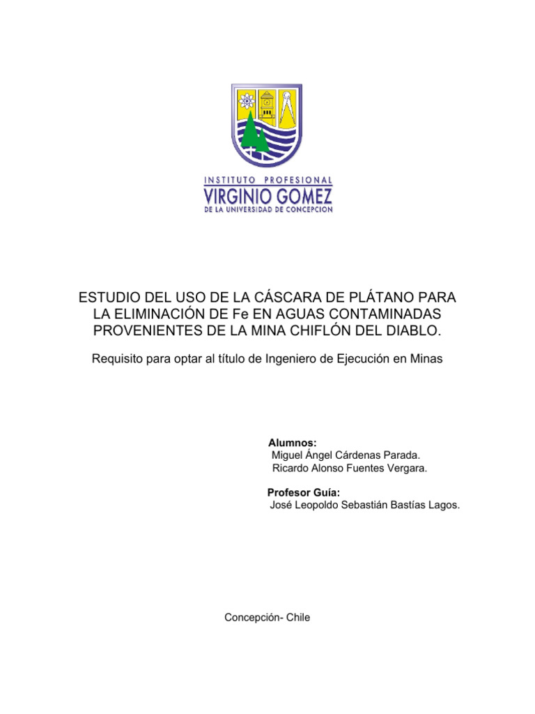 Proyecto Integrado Finalizado | PDF
