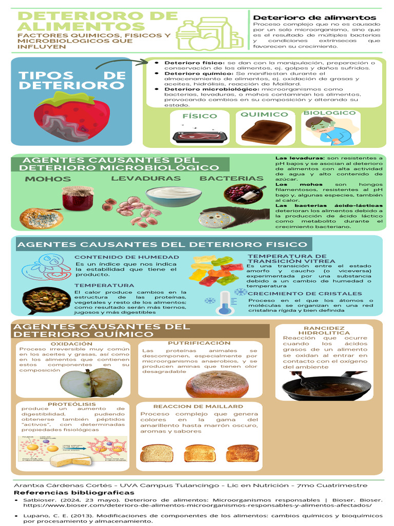 Infografía deterioro de los alimentos | PDF