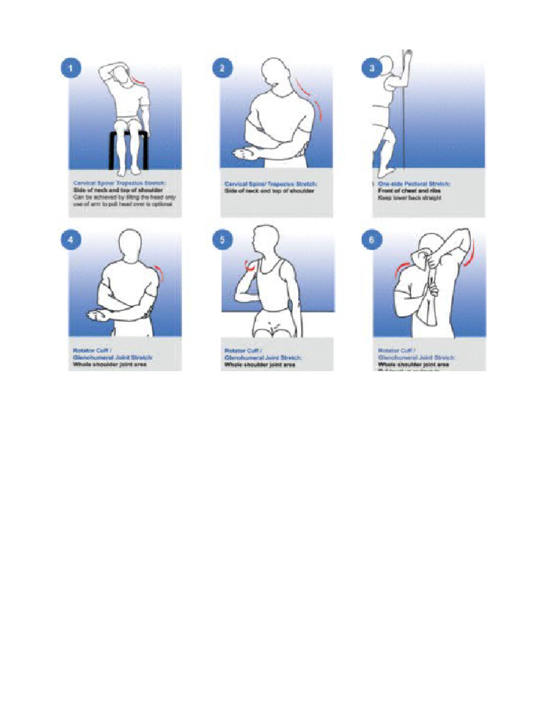 Neck and Shoulder Stretches | PDF