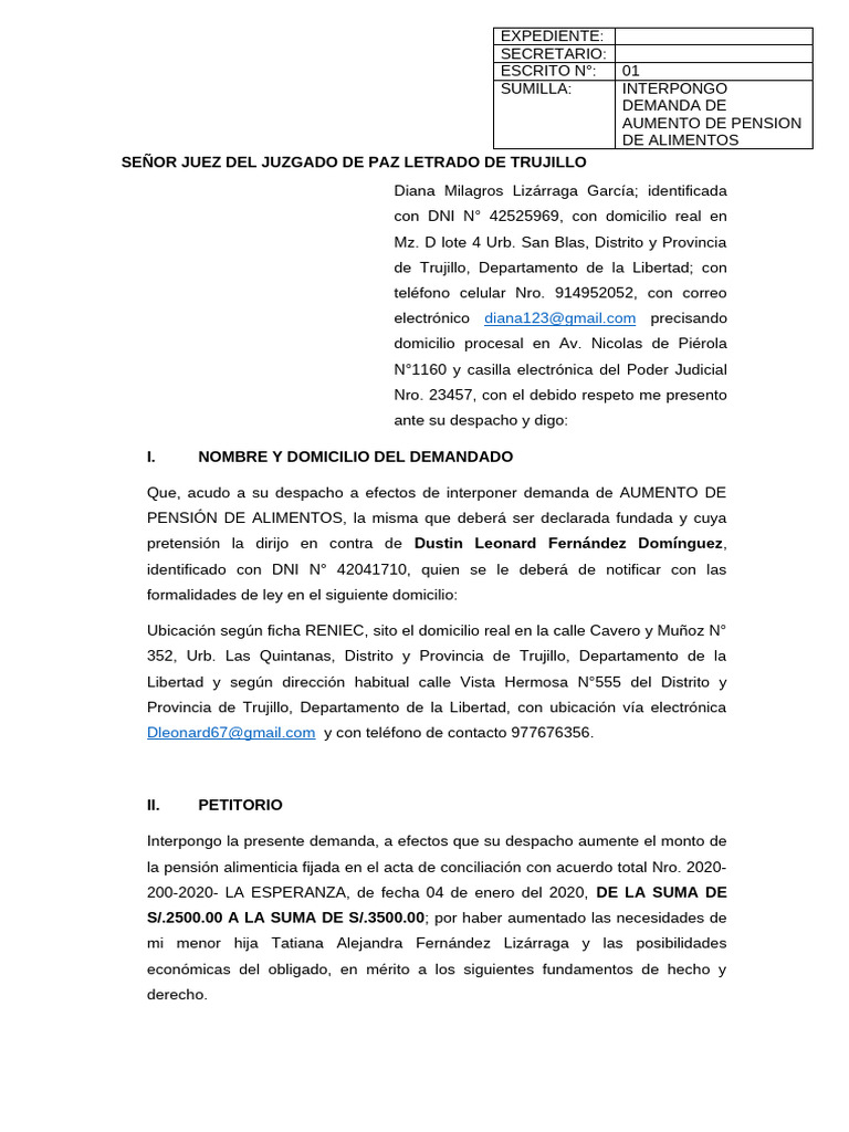 DEMANDA DE AUMENTO DE ALIMENTOS - final | PDF
