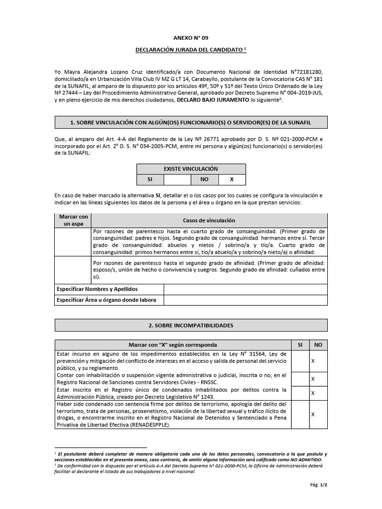 Anexo 09 sunafil pdf