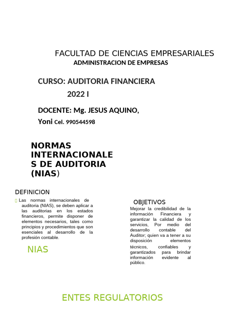 Las Normas Internacionales de Auditoria (NIAS) | PDF