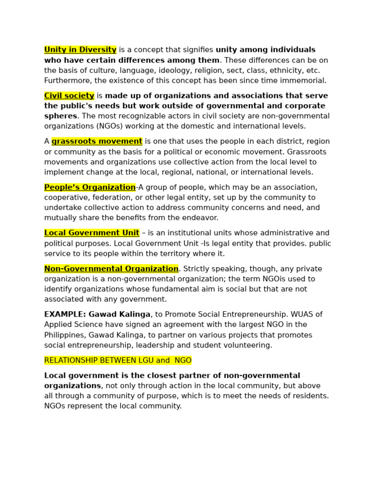 Unity in Diversity: NGOs and Local Governance | PDF