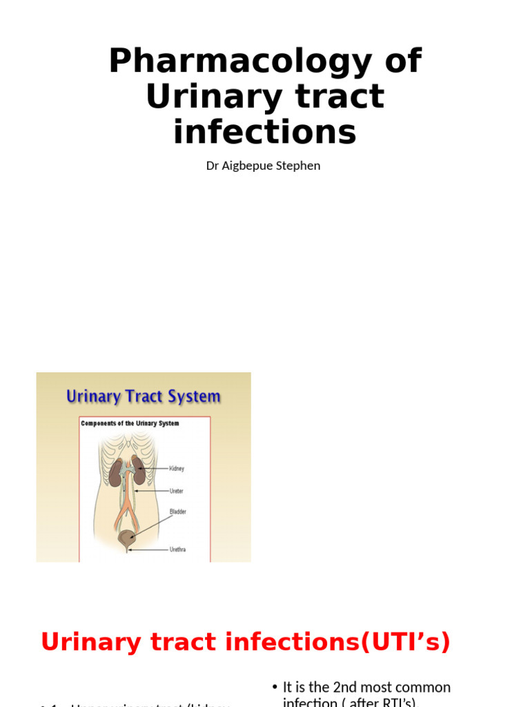 Urinary Tract Infection Drugs | PDF | Urinary Tract Infection ...